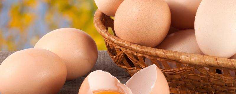 單獨雞蛋可以做什麼