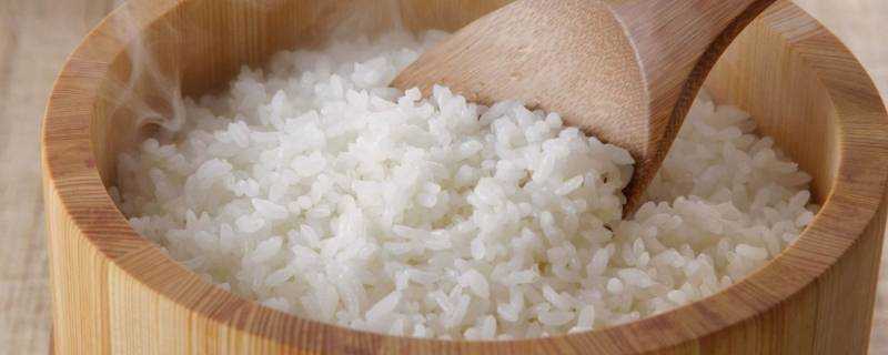 米飯放冰箱4天可以吃嗎