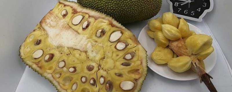 菠蘿蜜白色粘液是什麼