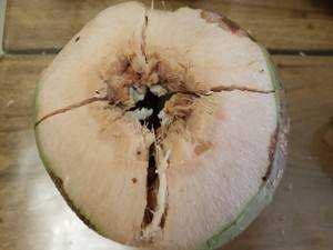 椰子怎麼吃椰肉