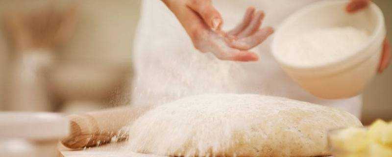 高筋麵粉和麵包粉有什麼區別