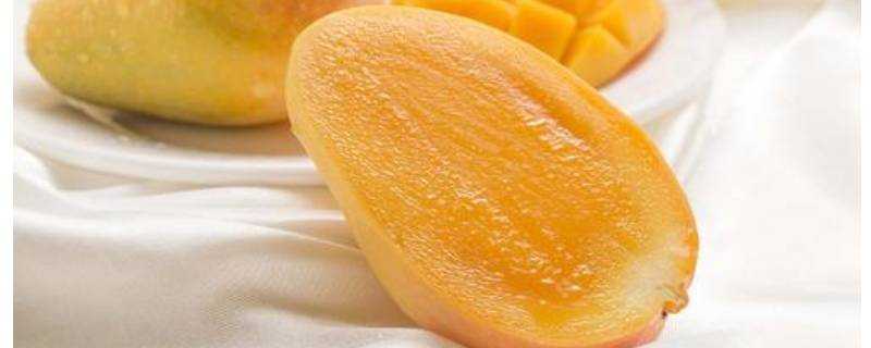 熟芒果能放冰箱嗎