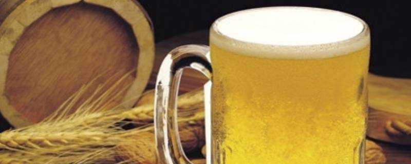 全麥啤酒和普通啤酒的區別是什麼