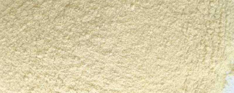 木薯粉是澱粉嗎