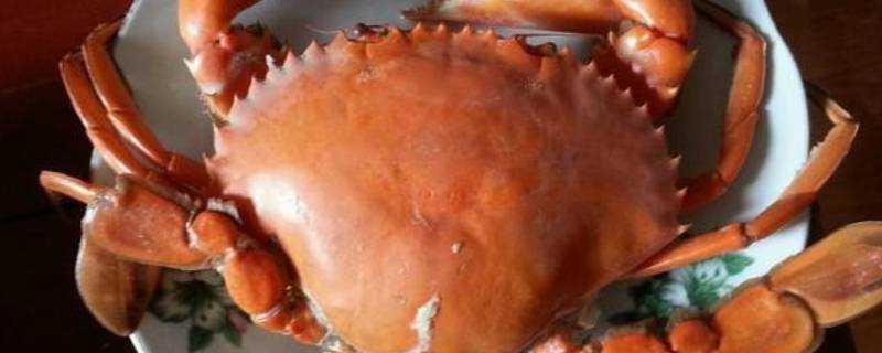 石頭蟹怎麼做好吃