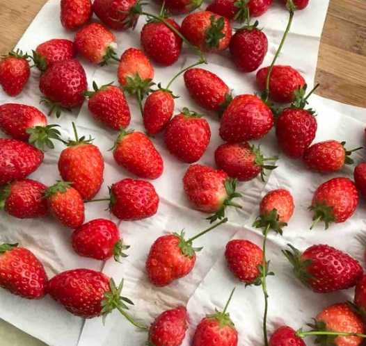 草莓吃不完怎麼醃製