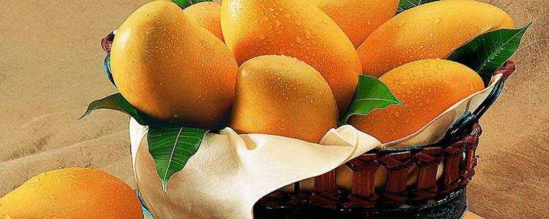 芒果太熟了還能吃嗎