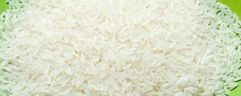 米起黑色蟲還能吃嗎