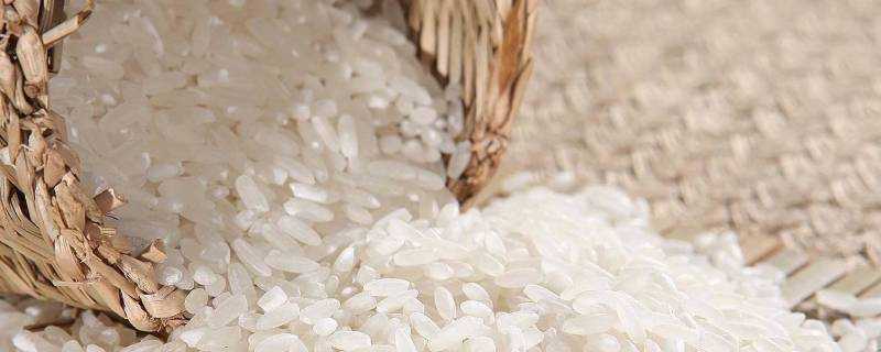 大米能長期放冰箱冷凍嗎