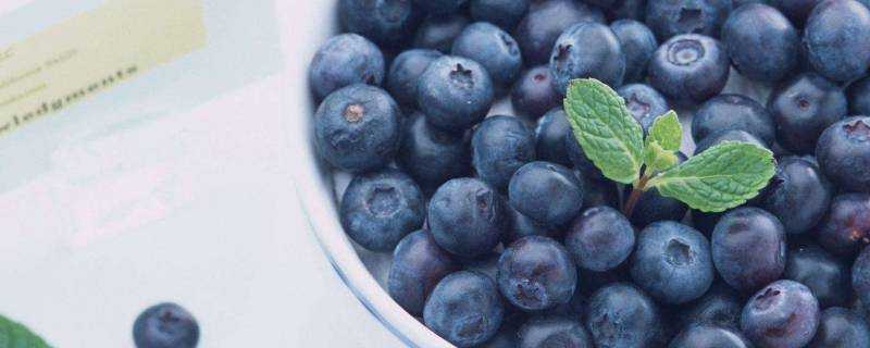 藍莓酸怎麼辦