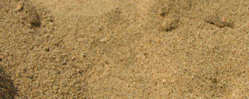 一立沙子有多少斤