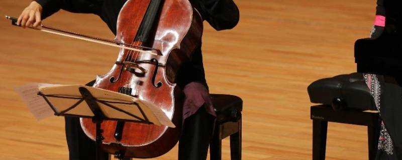 cello是什麼樂器