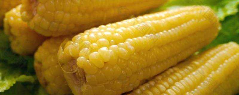 玉米可以用微波爐打熟嗎