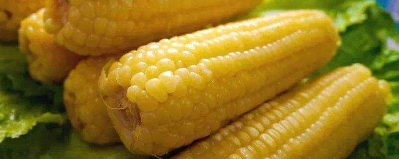 玉米一般蒸多久就可以了