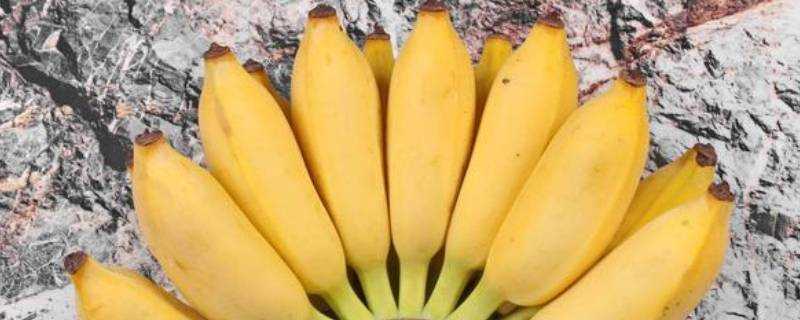 胖胖的香蕉是什麼品種