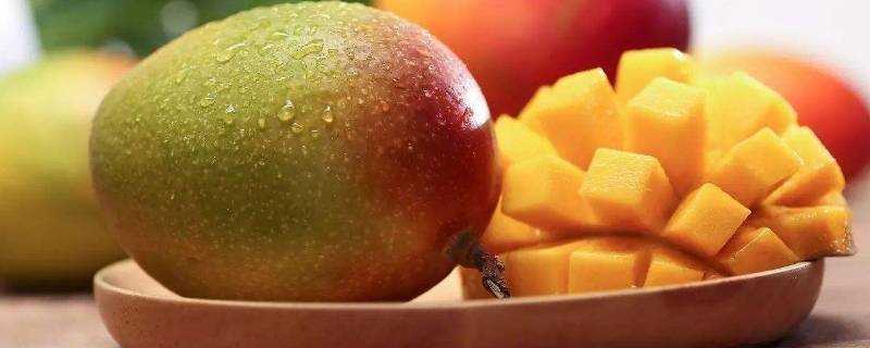 芒果熟了可以放冰箱儲存嗎