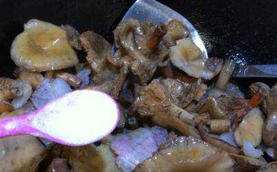 松樹菇怎麼做好吃