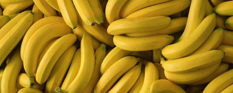 香蕉夏天怎麼儲存方法