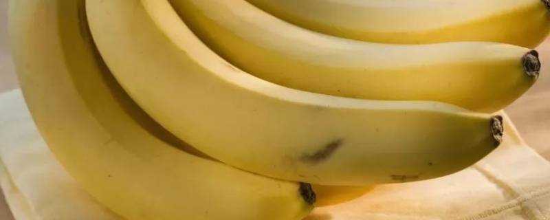大量香蕉吃不完可以做什麼