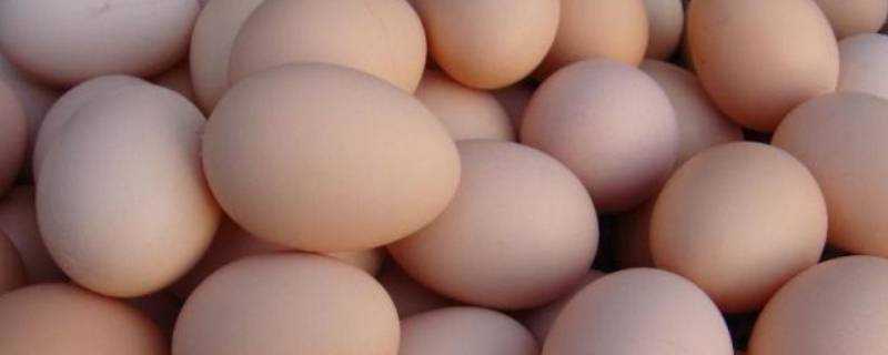 雞蛋在夏天常溫中可以放幾天