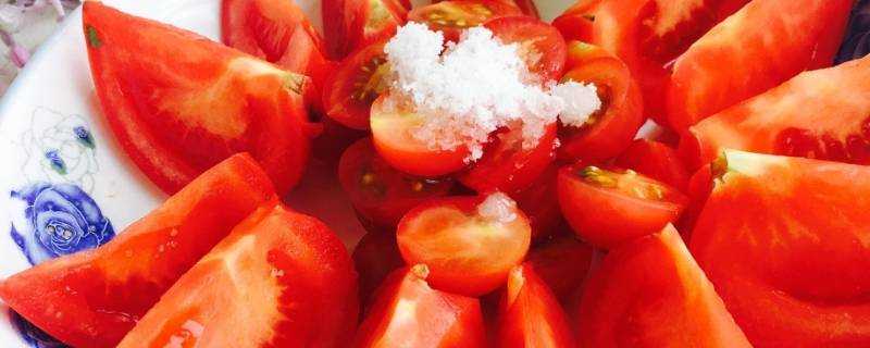 西紅柿單獨怎麼做菜