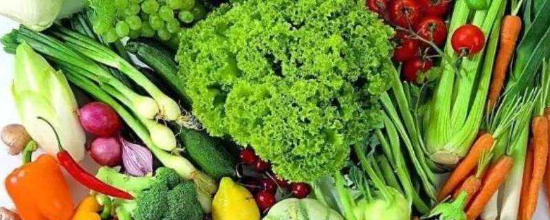 十種蔬菜不能放冰箱