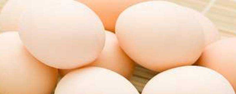 煮雞蛋水要蓋過雞蛋嗎