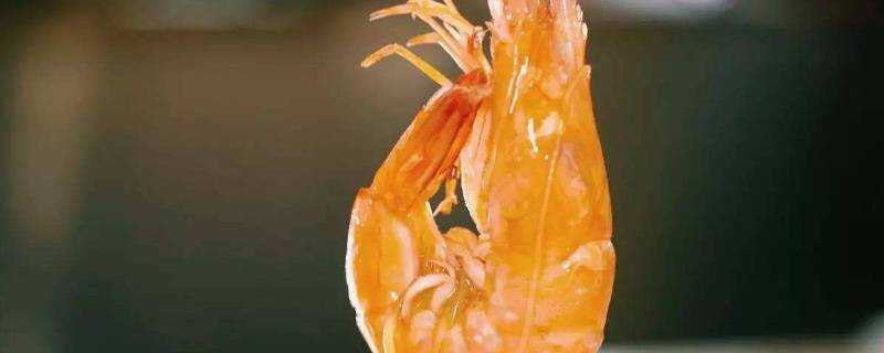 一隻蝦的蛋白質