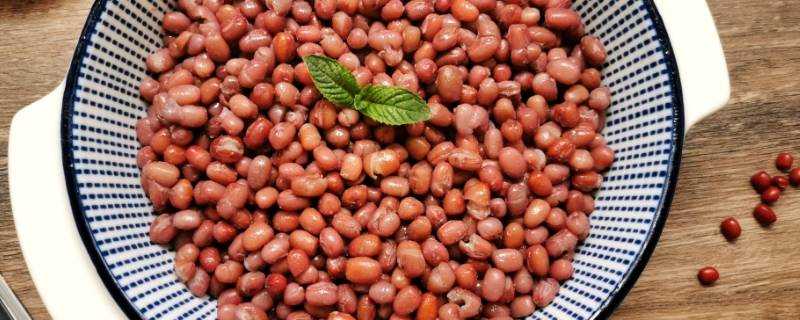 蜜紅豆可以做什麼美食