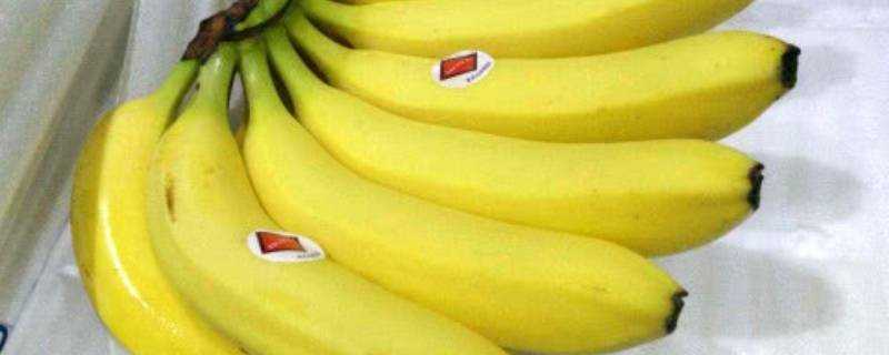 為什麼香蕉放爛了都沒熟