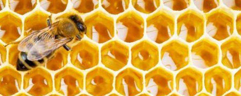 蜂蜜要放冰箱裡嗎