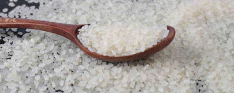粳米營養成分