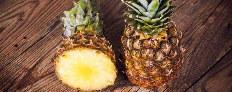 菠蘿與鳳梨是同一種水果嗎