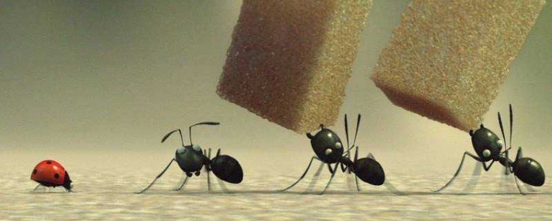 螞蟻對人類有哪些好處