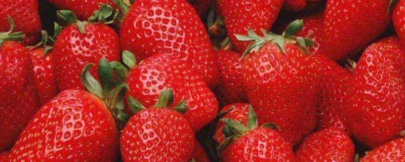 草莓能放冰箱嗎
