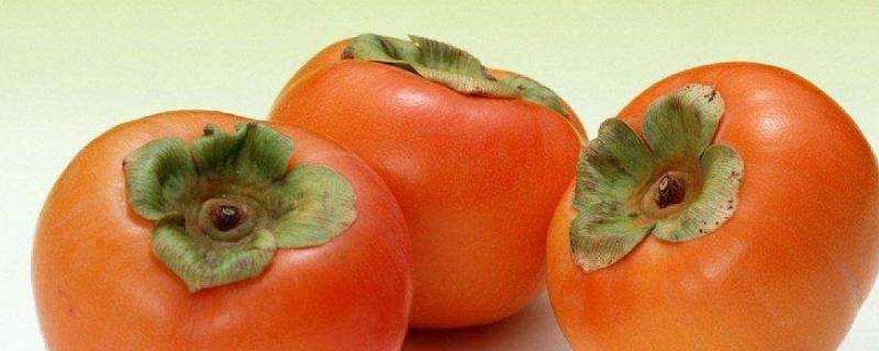 脆柿子能放軟嗎
