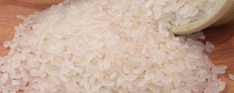 大米生了米蟲怎麼辦還可以吃嗎
