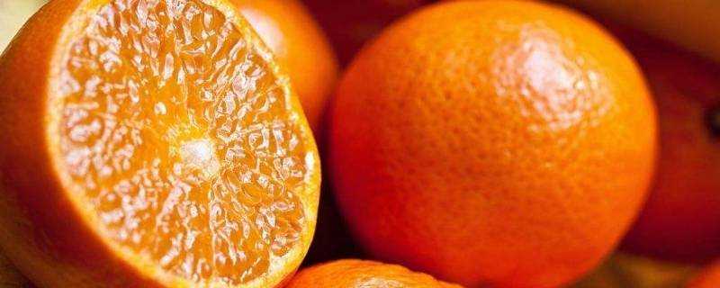橙子怎麼儲存好