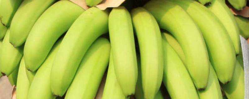 青香蕉怎樣快速變黃變軟