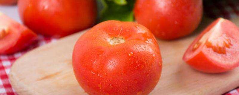 怎麼催熟西紅柿