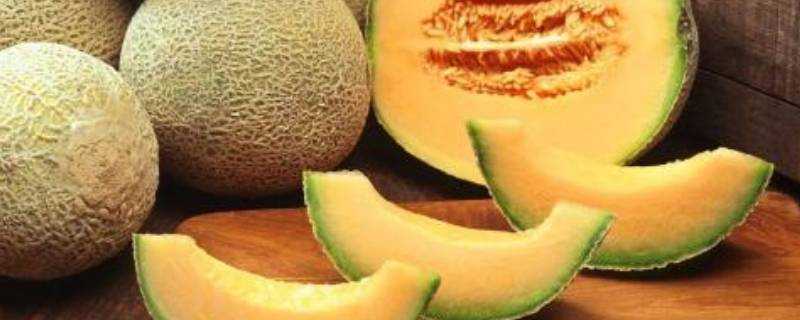 哈密瓜是鹼性食物嗎