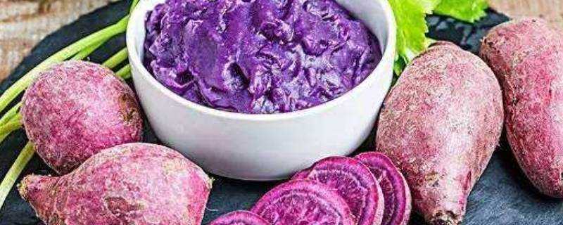紫薯一餐吃多少
