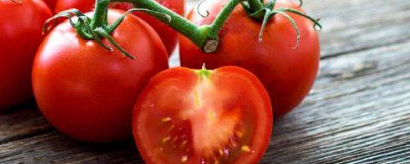 番茄有黴點能削掉繼續吃嗎