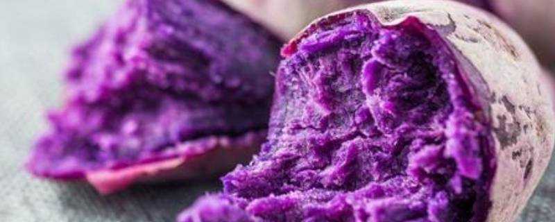 紫薯蒸了為什麼裡面是硬的