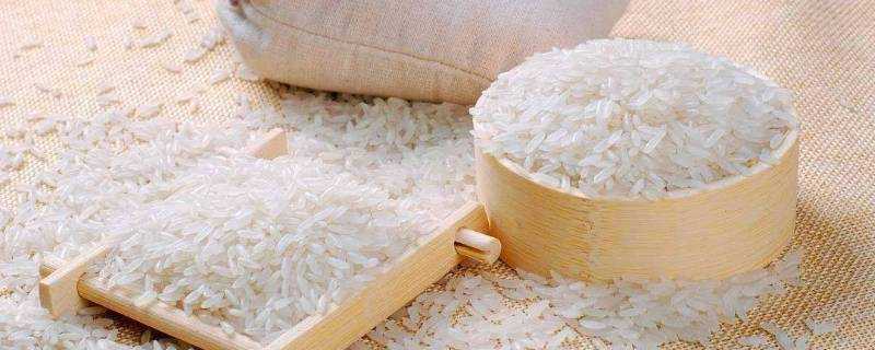 江米可以用電飯鍋蒸米飯嗎