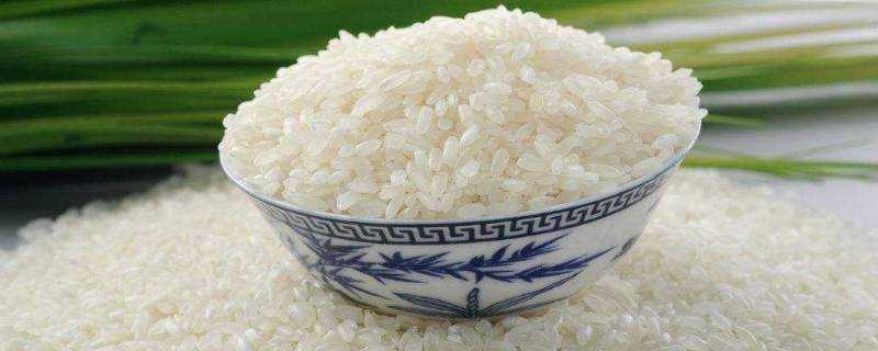 大米是粗糧嗎