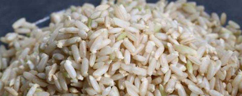 發芽米的功效與作用有哪些