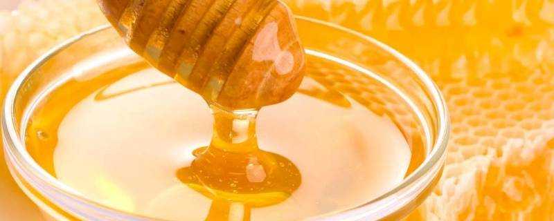 蜂蜜放冰箱有害嗎