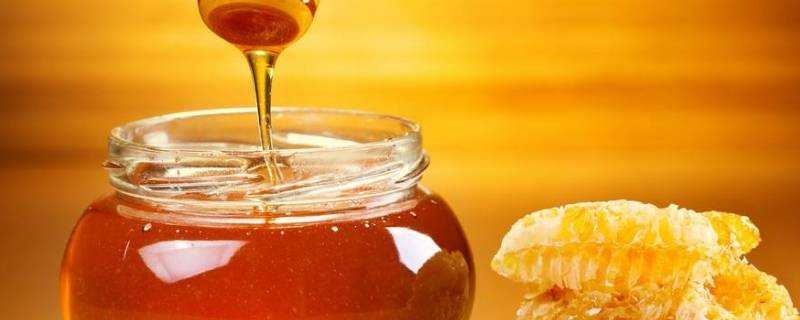 薄荷可以和蜂蜜一起泡水嗎