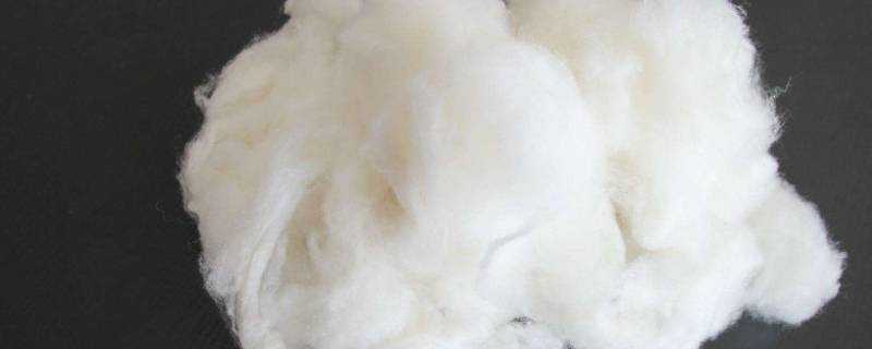 綿羊毛會縮水嗎
